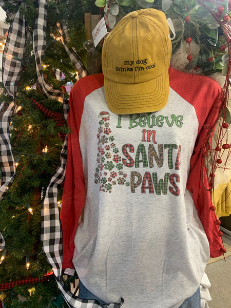 I Believe in Santa Paws Christmas Tee Shirt